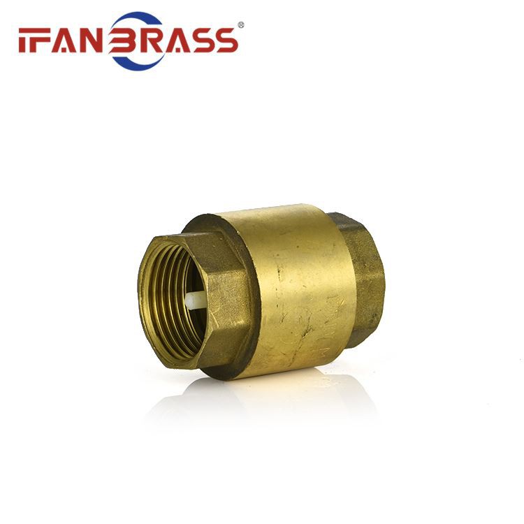 1 brass check valve 1 brass check valve